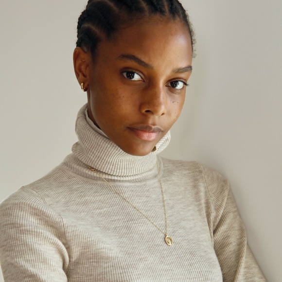 Aritzia Wilfred⎜POSITANO TURTLENECK⎜HEATHER SOOT - Picture 2 of 13